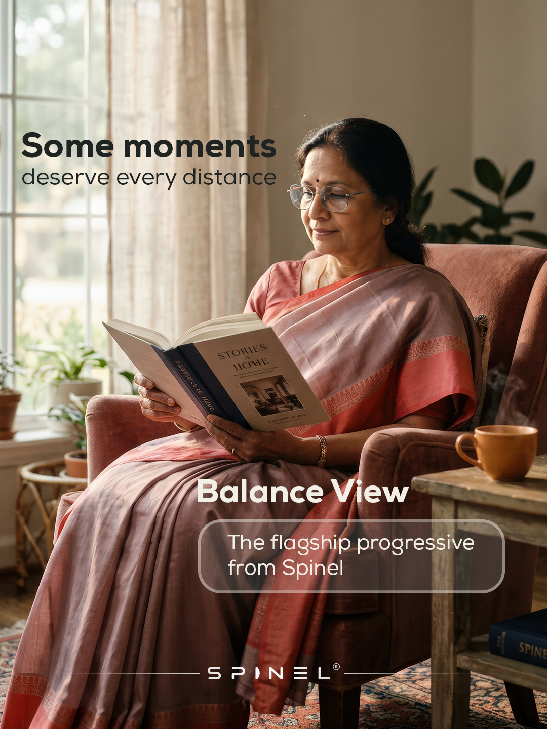 Balance View lens diagram